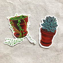 Load image into Gallery viewer, Plant stickers (set of 2) - String of Pearls and Echeveria

