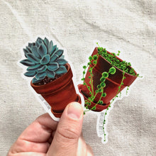 Load image into Gallery viewer, Plant stickers (set of 2) - String of Pearls and Echeveria
