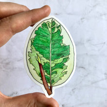 Load image into Gallery viewer, Plant sticker - Rubber tree leaf (ficus elastica tineke)
