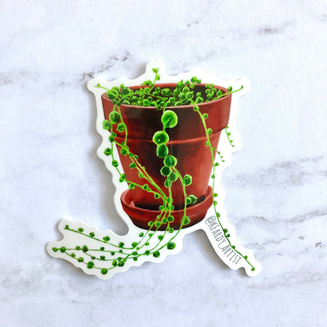 Plant sticker - String of Pearls