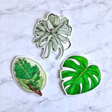 Load image into Gallery viewer, Plant stickers (set of 3) - Monstera, Rubber Plant, and Air Plant
