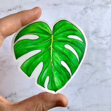 Load image into Gallery viewer, Plant sticker - Monstera Leaf
