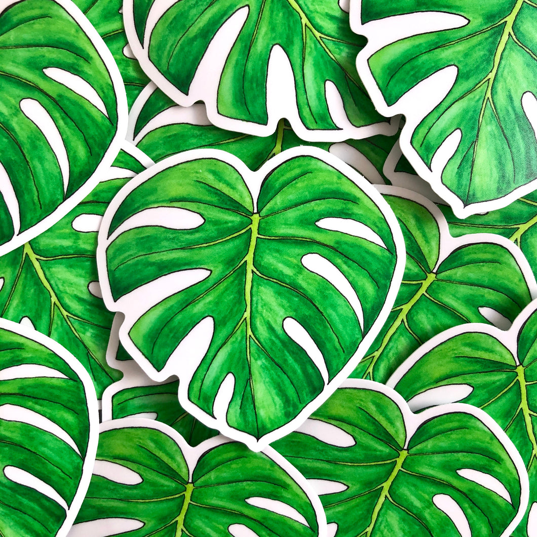 Plant sticker - Monstera Leaf