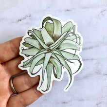 Load image into Gallery viewer, Plant stickers (set of 3) - Monstera, Rubber Plant, and Air Plant
